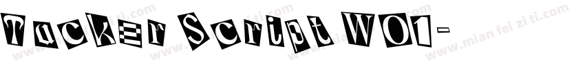 Tucker Script W01字体转换